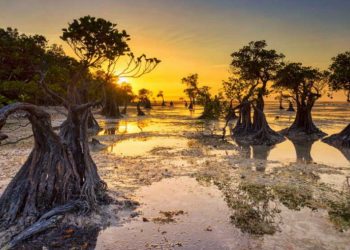 5 Destinasi Wisata yang Wajib Kamu Kunjungi di Provinsi Jakarta
