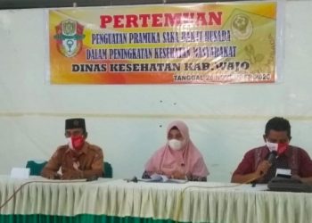 Peran dan Tantangan Saka Bakti Husada dalam Pembangunan Kesehatan