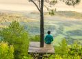 photo of a man sitting under the tree