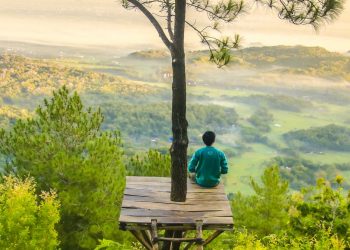 photo of a man sitting under the tree