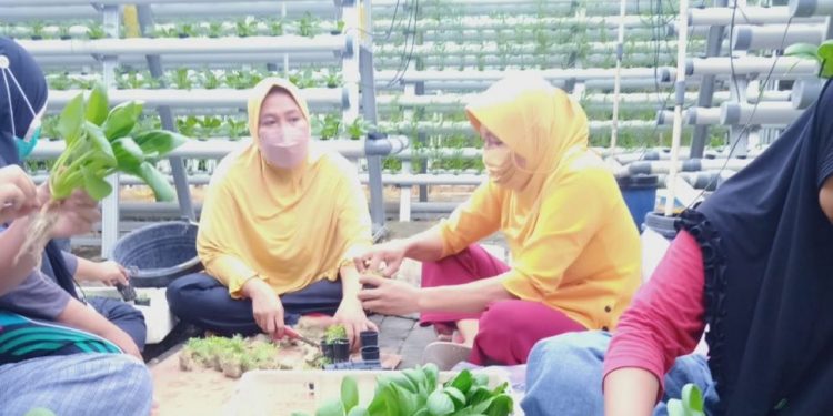 Pelaku UMKM.