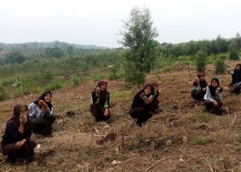Saka Wanabakti Grobogan Gelar Uji SKK