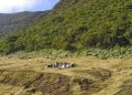 Menuju Puncak Pangrango dan Alun-alun Mandalawangi