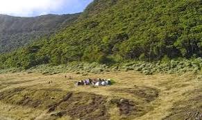 Menuju Puncak Pangrango dan Alun-alun Mandalawangi