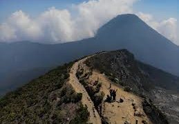 Gunung Gede Pangrango: Mahkota Alam Jawa Barat