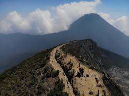 Gunung Gede Pangrango: Mahkota Alam Jawa Barat